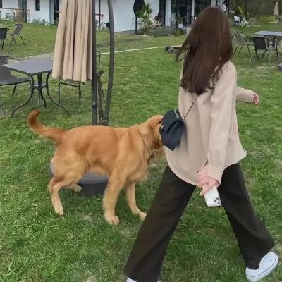 黑衣新娘